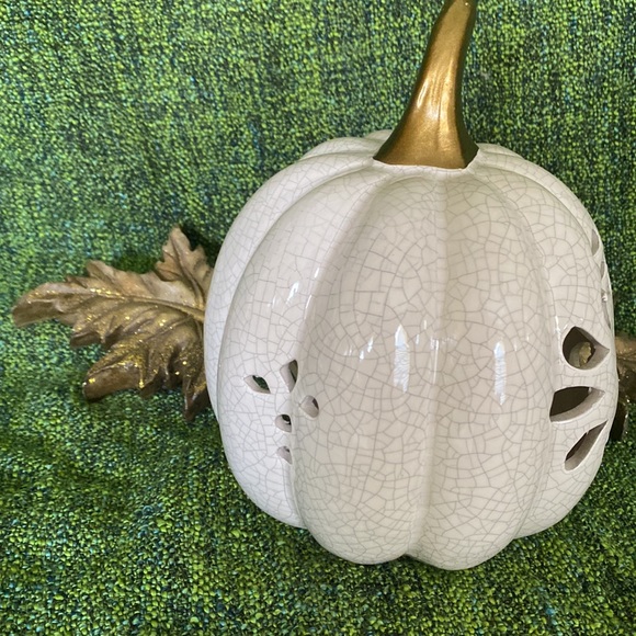 Decorative Pumpkin - Picture 5 of 6